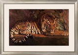 Buy Tigre Royal at AllPosters.com