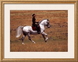 Buy In the Country at AllPosters.com