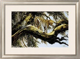 Buy Leopard Sentry at AllPosters.com