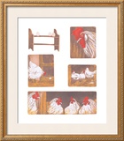Buy The Chicken Story at AllPosters.com