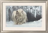 Dozing Lynx