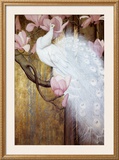 Peacock with Magnolia