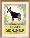Buy Okapi Copenhagen Zoo at AllPosters.com