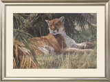 Last Sanctuary- Florida Panther (detail)