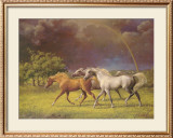 Buy Arabians After a Storm at AllPosters.com