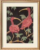 Buy Scarlet Ibis I at AllPosters.com