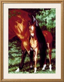 Buy Tail End at AllPosters.com