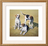 Cotswold Foxhounds