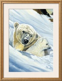 Buy Polar Bear Mama at AllPosters.com