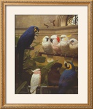 Select Committee