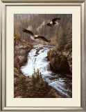 Buy Land of the Free at AllPosters.com