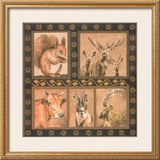 Faune des Montagnes