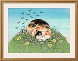 Cat-titude