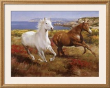 Buy Free as the Wind at AllPosters.com
