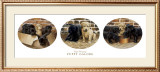 Buy Puppy Galore at AllPosters.com