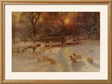 The Shortening Winter's Day