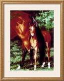 Buy Tail End at AllPosters.com