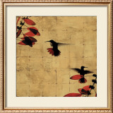 Colibri I