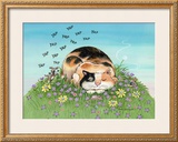 Cat-titude