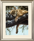 Buy Lake Manyara Lioness at AllPosters.com