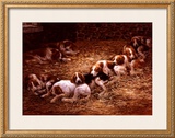 Buy Day Dreamers at AllPosters.com