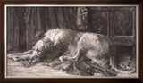 Irish Wolfhounds