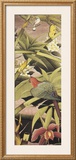 Tropica II