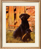 Buy Son of a Gun at AllPosters.com