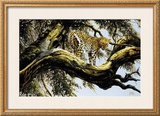 Buy Leopard Sentry at AllPosters.com