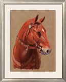 Buy Greencoat at AllPosters.com
