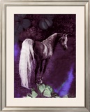 Buy Grey Stallion Art at AllPosters.com