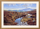 Buy Stags at AllPosters.com