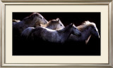 Buy Crin Blanc at AllPosters.com