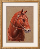 Buy Greencoat at AllPosters.com