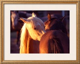 Buy Telling Secrets at AllPosters.com