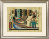 Egyptian Papyrus, Design V