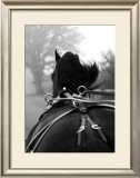 Buy Cantering at AllPosters.com