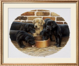 Buy Golden Girl at AllPosters.com