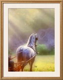 Buy Rays of Light at AllPosters.com