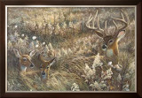 Buy Peaceful Place at AllPosters.com