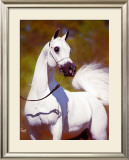 Buy A Vision in White at AllPosters.com