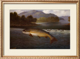 Buy Hooked! at AllPosters.com