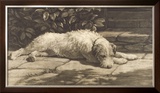 Buy The Terrier at AllPosters.com