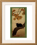 Buy Black Cat at AllPosters.com