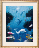 Buy Dolphin Smiles, Maui at AllPosters.com