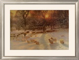 The Shortening Winter's Day