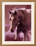 Buy Mi Amore at AllPosters.com