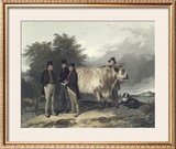 Buy Four Men With A Bull at AllPosters.com