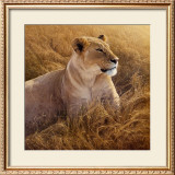Buy The African Queen at AllPosters.com