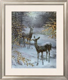 Buy Early Snow at AllPosters.com